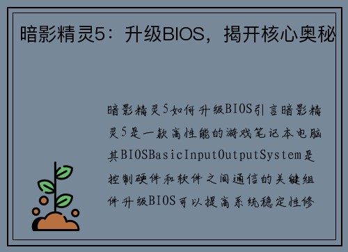 暗影精灵5：升级BIOS，揭开核心奥秘